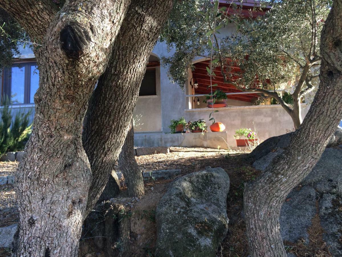 Villa S'umbra de S'ozzastru Orgosolo Exterior foto